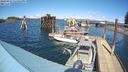 ./images/quadra/hbidock/20240416/hbidock20240416_144502M.jpg