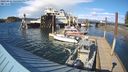 ./images/quadra/hbidock/20240416/hbidock20240416_165001M.jpg