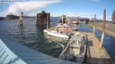 ./images/quadra/hbidock/20240416/hbidock20240416_174001M.jpg