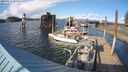 ./images/quadra/hbidock/20240416/hbidock20240416_174501M.jpg