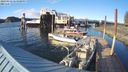 ./images/quadra/hbidock/20240416/hbidock20240416_184500M.jpg