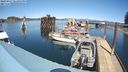 ./images/quadra/hbidock/20240417/hbidock20240417_141501M.jpg