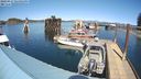 ./images/quadra/hbidock/20240417/hbidock20240417_144001M.jpg