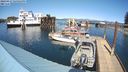 ./images/quadra/hbidock/20240417/hbidock20240417_145501M.jpg