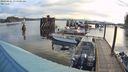 ./images/quadra/hbidock/20240421/hbidock20240421_074001M.jpg