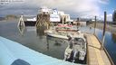 ./images/quadra/hbidock/20240421/hbidock20240421_124002M.jpg