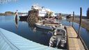 ./images/quadra/hbidock/20240422/hbidock20240422_110001M.jpg