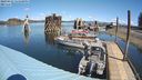 ./images/quadra/hbidock/20240422/hbidock20240422_121500M.jpg
