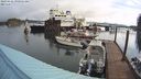 ./images/quadra/hbidock/20240426/hbidock20240426_090501M.jpg