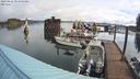 ./images/quadra/hbidock/20240426/hbidock20240426_094500M.jpg