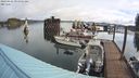 ./images/quadra/hbidock/20240426/hbidock20240426_094501M.jpg