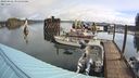 ./images/quadra/hbidock/20240426/hbidock20240426_095500M.jpg