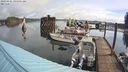 ./images/quadra/hbidock/20240426/hbidock20240426_095501M.jpg