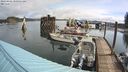 ./images/quadra/hbidock/20240426/hbidock20240426_100501M.jpg