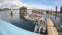 ./images/quadra/hbidock/20240426/hbidock20240426_113000M.jpg