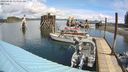 ./images/quadra/hbidock/20240426/hbidock20240426_113001M.jpg