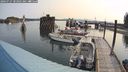 ./images/quadra/hbidock/20240727/hbidock20240727_083002M.jpg