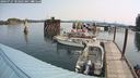 ./images/quadra/hbidock/20240727/hbidock20240727_102002M.jpg