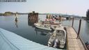 ./images/quadra/hbidock/20240727/hbidock20240727_110501M.jpg