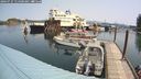 ./images/quadra/hbidock/20240727/hbidock20240727_114500M.jpg