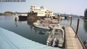 ./images/quadra/hbidock/20240727/hbidock20240727_114501M.jpg