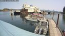 ./images/quadra/hbidock/20240727/hbidock20240727_115001M.jpg