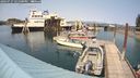 ./images/quadra/hbidock/20240727/hbidock20240727_151500M.jpg