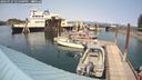 ./images/quadra/hbidock/20240727/hbidock20240727_151501M.jpg