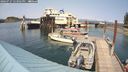 ./images/quadra/hbidock/20240727/hbidock20240727_153001M.jpg