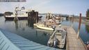 ./images/quadra/hbidock/20240727/hbidock20240727_165500M.jpg
