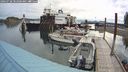 ./images/quadra/hbidock/20240728/hbidock20240728_082000M.jpg