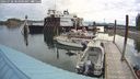 ./images/quadra/hbidock/20240728/hbidock20240728_083000M.jpg