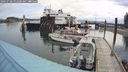 ./images/quadra/hbidock/20240728/hbidock20240728_092001M.jpg