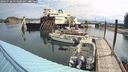./images/quadra/hbidock/20240728/hbidock20240728_094500M.jpg