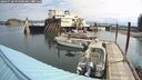 ./images/quadra/hbidock/20240728/hbidock20240728_095000M.jpg