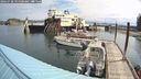 ./images/quadra/hbidock/20240728/hbidock20240728_095500M.jpg