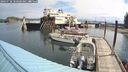 ./images/quadra/hbidock/20240728/hbidock20240728_100001M.jpg