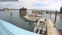 ./images/quadra/hbidock/20240728/hbidock20240728_102001M.jpg
