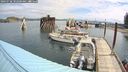 ./images/quadra/hbidock/20240728/hbidock20240728_102500M.jpg