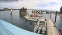 ./images/quadra/hbidock/20240728/hbidock20240728_103501M.jpg