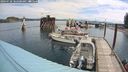 ./images/quadra/hbidock/20240728/hbidock20240728_104001M.jpg