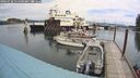 ./images/quadra/hbidock/20240728/hbidock20240728_114500M.jpg