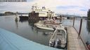 ./images/quadra/hbidock/20240728/hbidock20240728_114502M.jpg