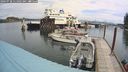 ./images/quadra/hbidock/20240728/hbidock20240728_115002M.jpg