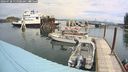 ./images/quadra/hbidock/20240728/hbidock20240728_115500M.jpg