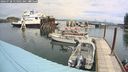 ./images/quadra/hbidock/20240728/hbidock20240728_115501M.jpg