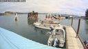 ./images/quadra/hbidock/20240728/hbidock20240728_120002M.jpg