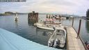 ./images/quadra/hbidock/20240728/hbidock20240728_122001M.jpg