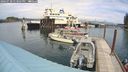 ./images/quadra/hbidock/20240728/hbidock20240728_133002M.jpg