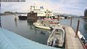 ./images/quadra/hbidock/20240728/hbidock20240728_134001M.jpg